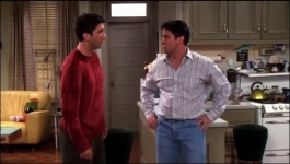 friends - Season 08 Episode 04